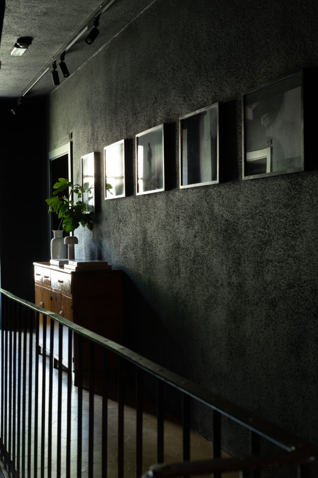 OLMO-ph. monicaspezia-