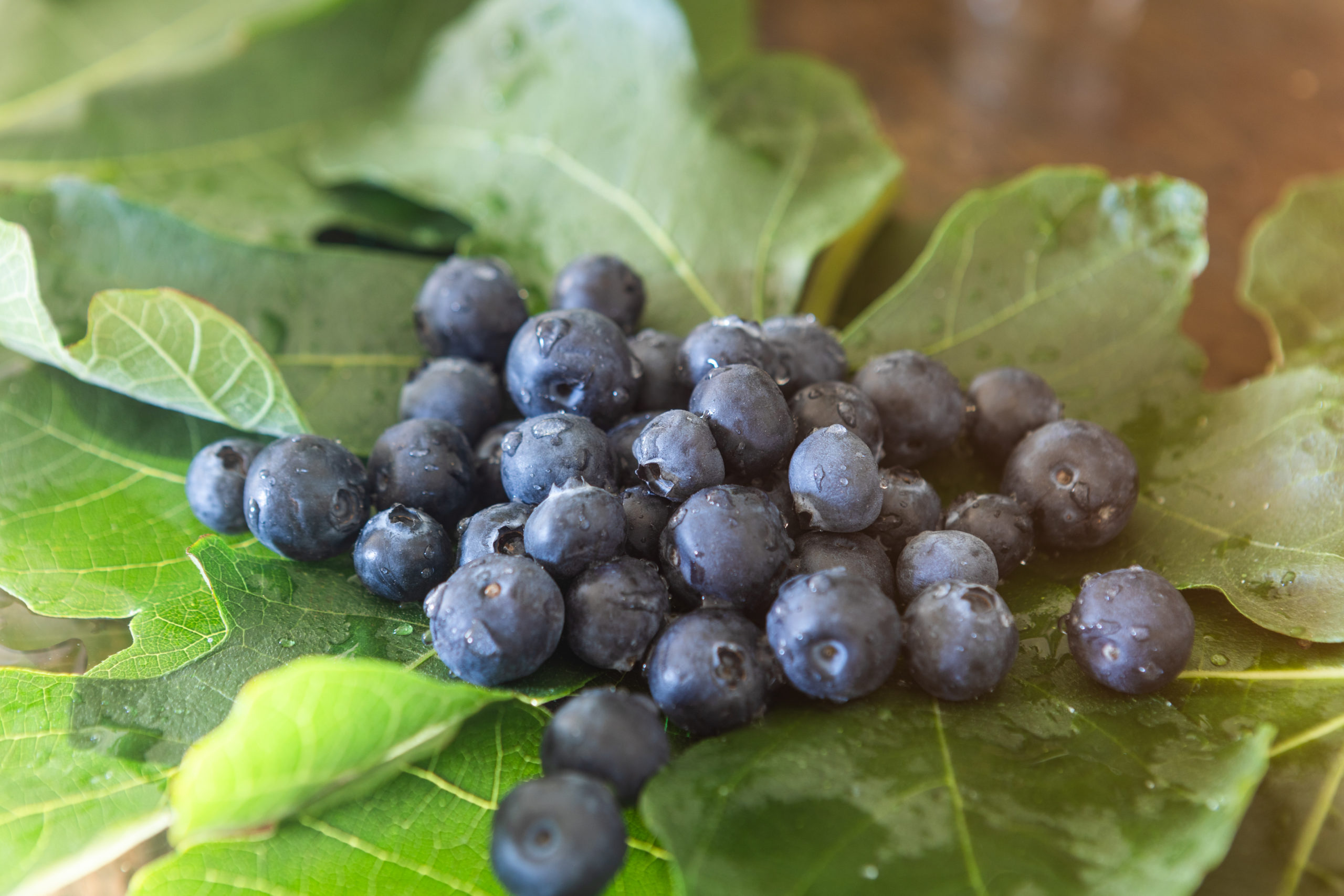 OLMO-ph. monicaspezia-livinginside-71